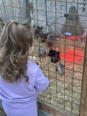 Tiere erleben Tiere erleben