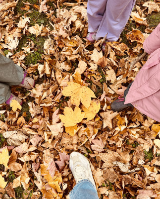 Den Wald als Kinderzimmer Den Wald als Kinderzimmer